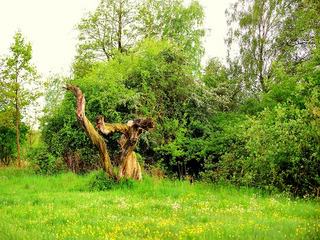 Himmelfahrt im Nationalpark Himmelfahrt im Nationalpark