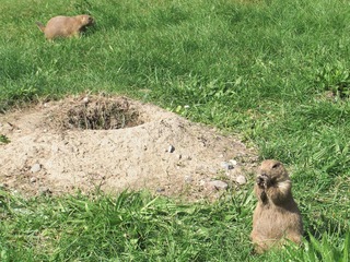 Tierpark Wismar Tierpark Wismar