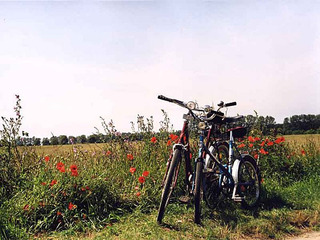 Arrangement - Fahrrad inklusive Arrangement - Fahrrad inklusive