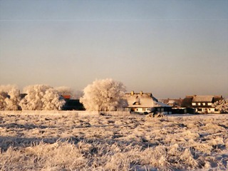 Winterspaß und Neujahr Winterspaß und Neujahr