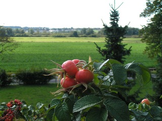 Tour 4: Demmin - Verchen - Demmin Tour 4: Demmin - Verchen - Demmin