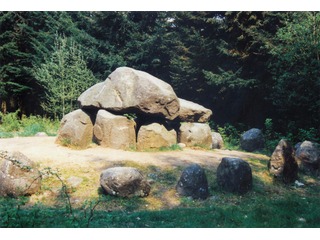 Bodendenkmäler im Everstorfer Forst mit Sühnestein Bodendenkmäler im Everstorfer Forst mit Sühnestein
