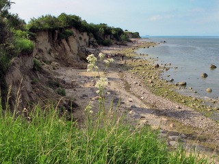 Steilküste Boltenhagen Steilküste Boltenhagen