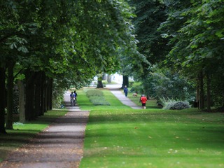 Park Juliusruh Park Juliusruh