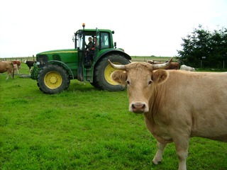 Landwirtschaft Müritz-Hof Knust Landwirtschaft Müritz-Hof Knust