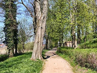 Engelscher Garten Engelscher Garten