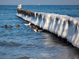 Winter & Meer Winter & Meer
