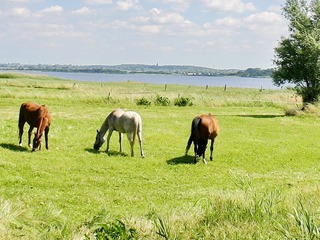 Salzhaff Salzhaff
