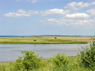 Salzhaff Salzhaff