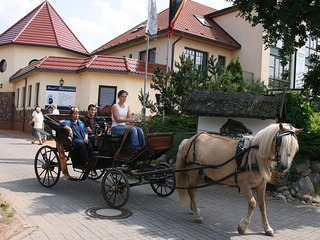 Angebote für Pferdefreunde vom Landhotel Borstel-Treff Angebote für Pferdefreunde vom Landhotel Borstel-Treff