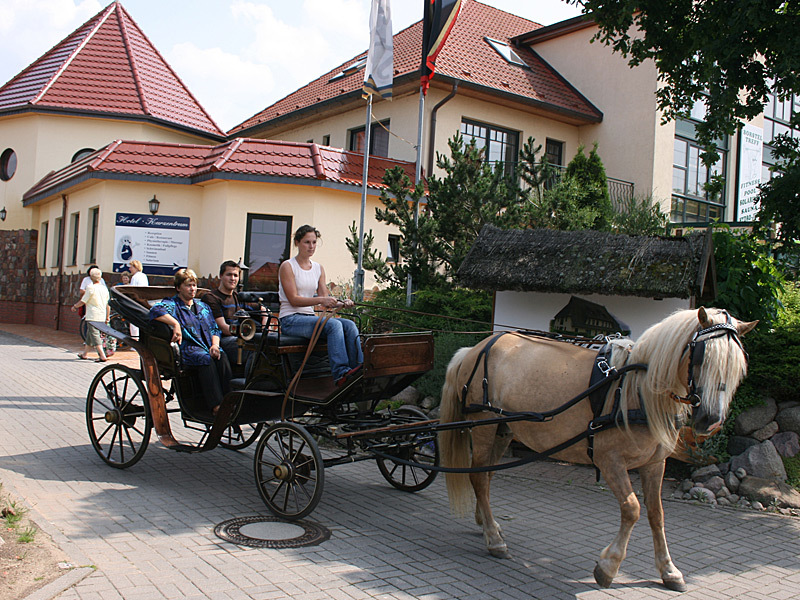 Angebote für Pferdefreunde vom Landhotel Borstel-Treff Angebote für Pferdefreunde vom Landhotel Borstel-Treff