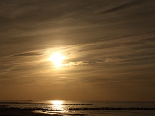Viel Mehr. Feel Meer. Viel Mehr. Feel Meer.
