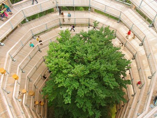 Naturerbezentrum mit Baumwipfelpfad nahe Prora Naturerbezentrum mit Baumwipfelpfad nahe Prora