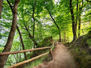 Nationalpark Jasmund Nationalpark Jasmund