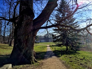 Schlosspark Putbus | © mvp.de Schlosspark Putbus
