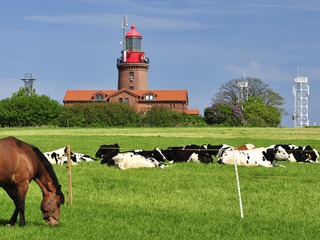 Leuchtturm Bastorf Leuchtturm Bastorf