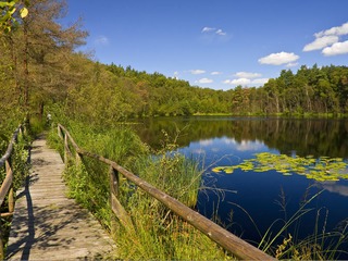 Müritz-Nationalpark Müritz-Nationalpark