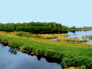Aussichtspunkt Dütschower Brücke Aussichtspunkt Dütschower Brücke