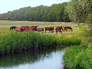 Landschaftsschutzgebiet Lewitz Landschaftsschutzgebiet Lewitz