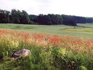 Eiszeitroute von Feldberg nach Fürstenberg Eiszeitroute von Feldberg nach Fürstenberg