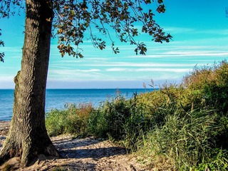 Rosenhagen | © hanseat - stock.adobe.com Rosenhagen