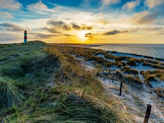Ellenbogen | © P. Meybruck - stock.adobe.com Ellenbogen