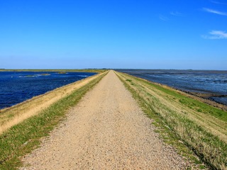 Rantumbecken | © Anita Weyershaeuser - stock.adobe.com Rantumbecken