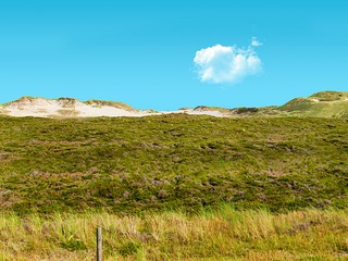 Wanderdüne Listland | © cladori - stock.adobe.com Wanderdüne Listland