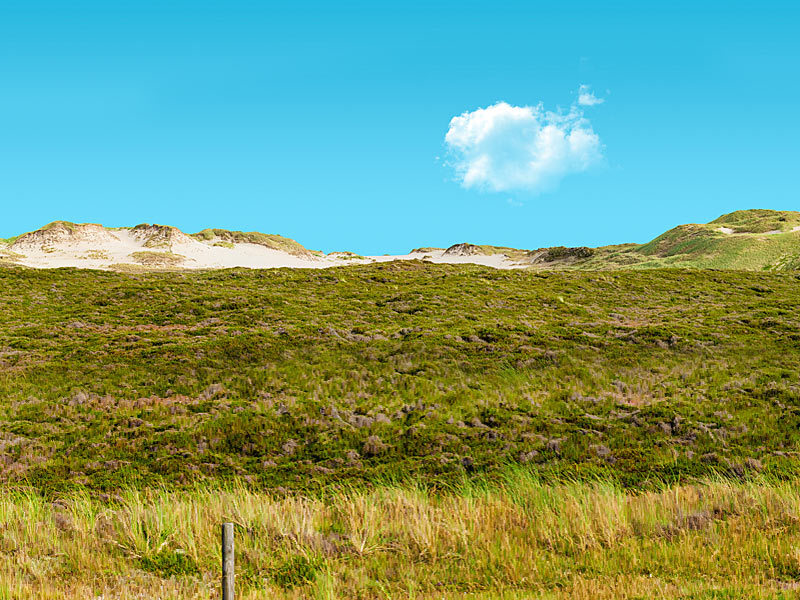 Wanderdüne Listland Wanderdüne Listland