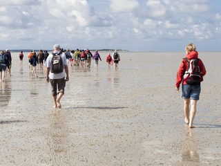 Wattwanderung auf der Insel Sylt | © FPM-BERLIN - stock.adobe.com Wattwanderung auf der Insel Sylt