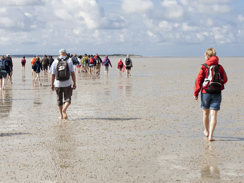 Wattwanderung auf der Insel Sylt Wattwanderung auf der Insel Sylt