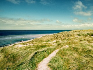 Strand Ellenbogen | © niemannfrank - stock.adobe.com Strand Ellenbogen