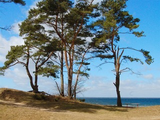 Lubminer Heide | © Jay Migge - stock.adobe.com Lubminer Heide