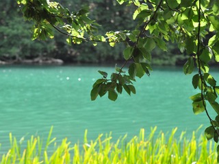 Hullerbusch und Schmaler Luzin | © Studio Dr J - stock.adobe.com Hullerbusch und Schmaler Luzin