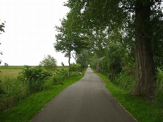 Naturlehrpfad August Bartelt | © Botaurus - Wikipedia Naturlehrpfad August Bartelt