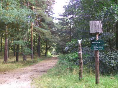 Rundwanderweg Eggesiner See Rundwanderweg Eggesiner See