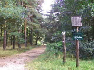 Rundwanderweg Eggesiner See Rundwanderweg Eggesiner See