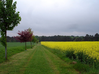Radtour mit Start und Ziel Landhaus Bondzio Radtour mit Start und Ziel Landhaus Bondzio