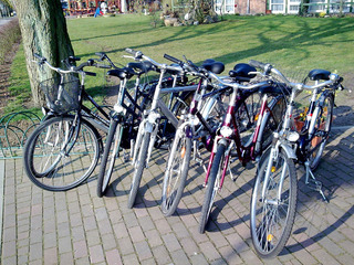 Fahrradverleih - Fischerhaus Plau am See Fahrradverleih - Fischerhaus Plau am See