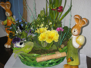 Frühlingsblüher Frühlingsblüher