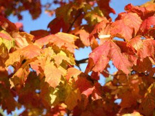 3. Oktober - spezial 3. Oktober - spezial