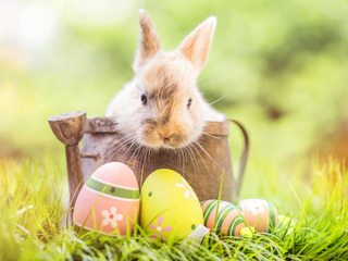 Ostern - spezial Ostern - spezial
