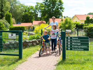 Himmelfahrt- und Pfingstarrangement Himmelfahrt- und Pfingstarrangement