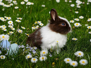 Ostern in Kühlungsborn Ostern in Kühlungsborn