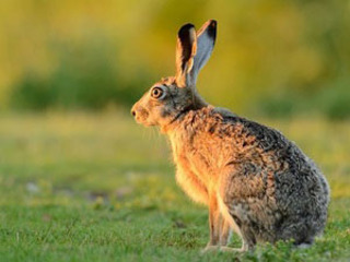 Ostern im Nationalpark Ostern im Nationalpark