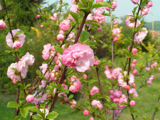 Ostern in Plau am See Ostern in Plau am See