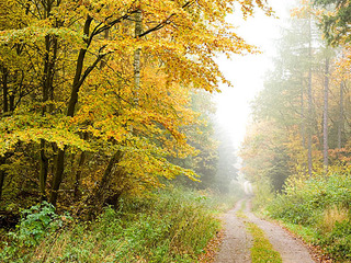 Wandern an der Müritz Wandern an der Müritz